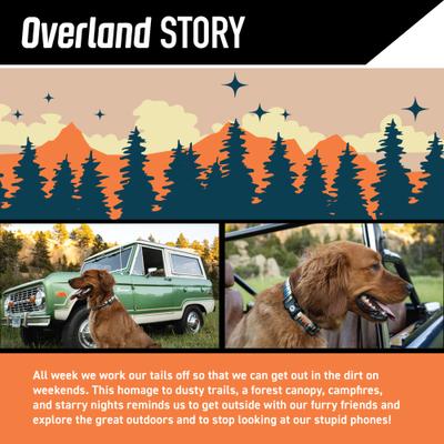 Show full view: Wolfgang Heavy Duty Overland Dog Leash, Large: 6-ft long, 1-in wide slide 2 of 6