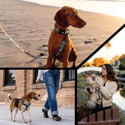 Show full view: Wolfgang WesternSky Polyester Standard Dog Leash, 6-ft long, 1-in wide slide 6 of 7