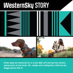 Wolfgang WesternSky Polyester Standard Dog Leash, 6-ft long, 1-in wide slide 2 of 6