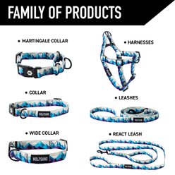 Wolfgang RockyPeaks Polyester Standard Dog Leash, 6-ft long, 1-in wide slide 2 of 6