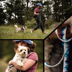 Wolfgang RockyPeaks Polyester Standard Dog Leash, 4-ft long, 5/8-in wide slide 2 of 6