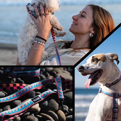 Show full view: Wolfgang BuenaOnda Polyester Standard Dog Leash, 6-ft long, 1-in wide slide 7 of 8