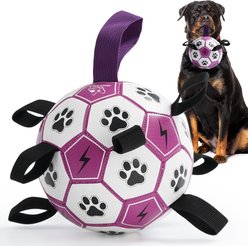 Nocciola Soccer Ball with Straps Interactive Dog Toy, Purple & White, 8-in