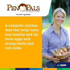 ADM Pen Pals Egg Maker 16% Protein Crumbles Chicken Feed, 50-lb bag slide 2 of 7
