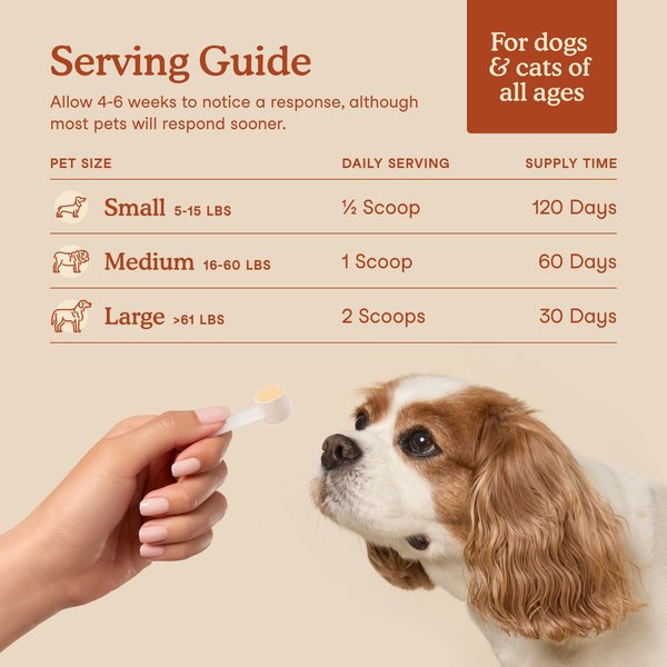 Show full view: Fera Pets Probiotics with Organic Prebiotics Powder Supplement for Dogs & Cats, 2.56-oz jar slide 5 of 10