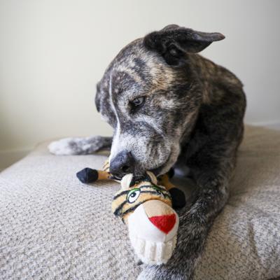 Show full view: SteelDog USA Ruffian Flat Tiger Stuffing-Free Plush Dog Toy slide 2 of 6