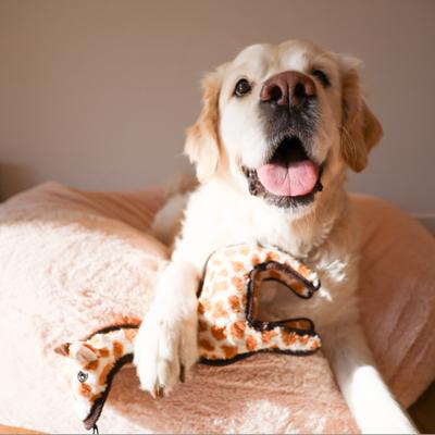 Show full view: SteelDog USA Ruffian Safari Giraffe Plush Dog Toy slide 2 of 6