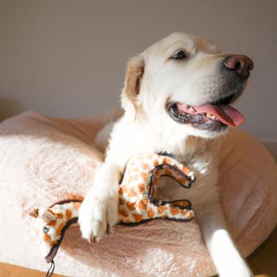 Show full view: SteelDog USA Ruffian Safari Giraffe Plush Dog Toy slide 5 of 6