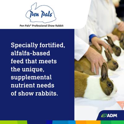 Show full view: ADM Professional Show Rabbit Food, 50-lb bag slide 5 of 8