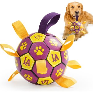 Nocciola Soccer Ball with Straps Interactive Dog Toy, Purple & Orange, 8-in