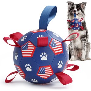 Nocciola Soccer Ball with Straps Dog Toy, Blue, Medium