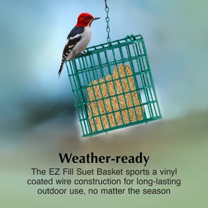 C&S Ez Fill Suet Basket Wild Bird Feeder