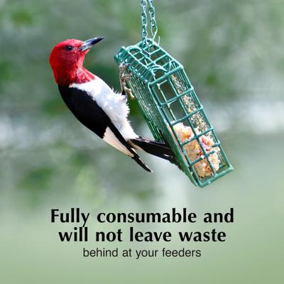 Show full view: C&S High Energy Delight No Melt Suet Dough Wild Bird Food, case of 8 slide 4 of 12