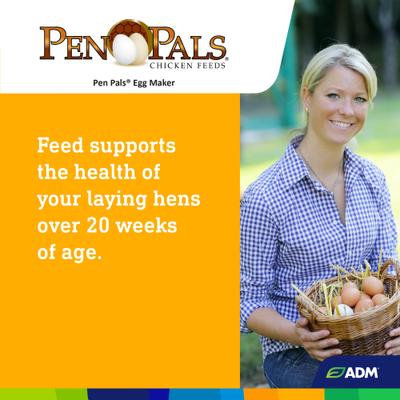 Show full view: ADM Pen Pals Egg Maker 16% Protein Crumbles Chicken Feed, 50-lb bag slide 6 of 7