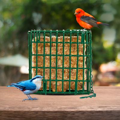Show full view: C&S Ez Fill Suet Basket Wild Bird Feeder slide 7 of 13