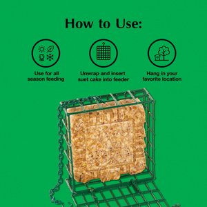 C&S Ez Fill Suet Basket Wild Bird Feeder
