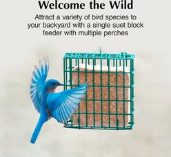 C&S Ez Fill Suet Basket Wild Bird Feeder slide 2 of 9