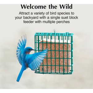 C&S Ez Fill Suet Basket Wild Bird Feeder