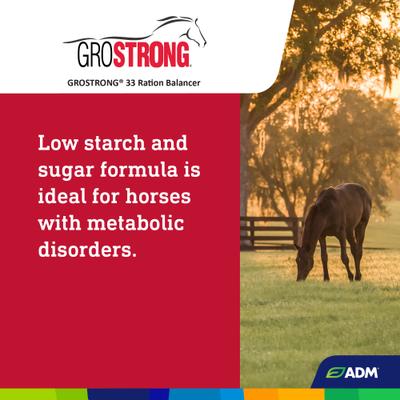 Show full view: ADM GroSTRONG 33 Ration Balancer Low Sugar Low Starch Horse Feed, 50-lb bag slide 5 of 8
