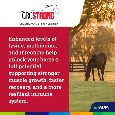 Show full view: ADM GroSTRONG 33 Ration Balancer Low Sugar Low Starch Horse Feed, 50-lb bag slide 6 of 8