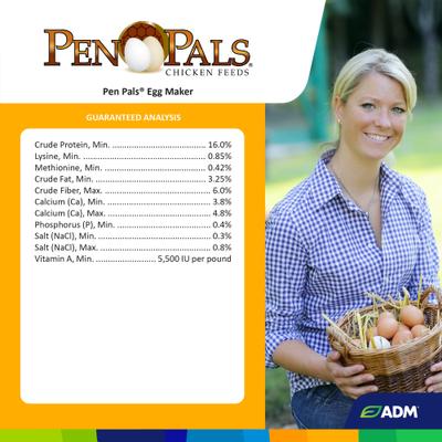 Show full view: ADM Pen Pals Egg Maker 16% Protein Crumbles Chicken Feed, 50-lb bag slide 4 of 7