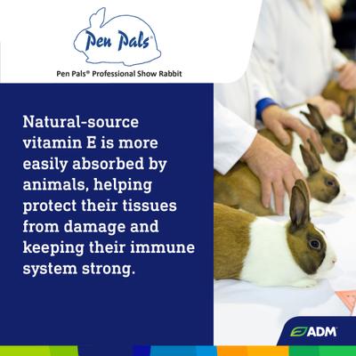 Show full view: ADM Professional Show Rabbit Food, 50-lb bag slide 7 of 8