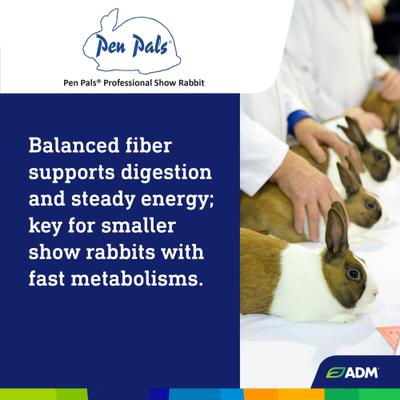 Show full view: ADM Professional Show Rabbit Food, 50-lb bag slide 6 of 8