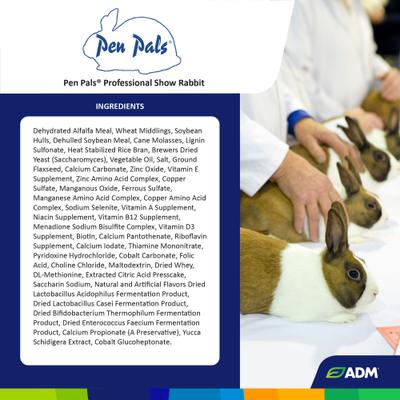 Show full view: ADM Professional Show Rabbit Food, 50-lb bag slide 3 of 8