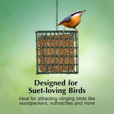 Show full view: C&S Ez Fill Suet Basket Wild Bird Feeder slide 4 of 13