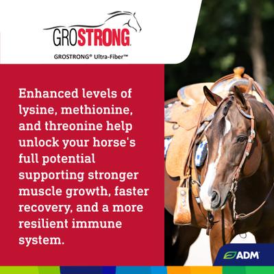 Show full view: ADM GroSTRONG Ultra-Fiber Horse Feed, 50-lb bag slide 7 of 7