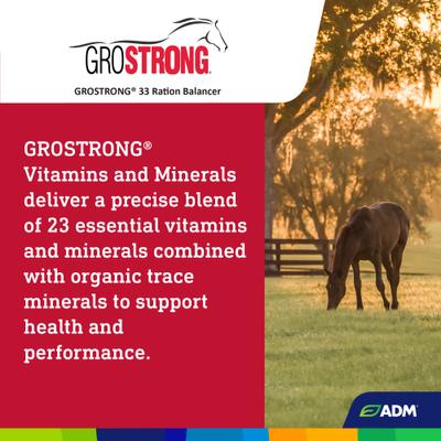 Show full view: ADM GroSTRONG 33 Ration Balancer Low Sugar Low Starch Horse Feed, 50-lb bag slide 7 of 8