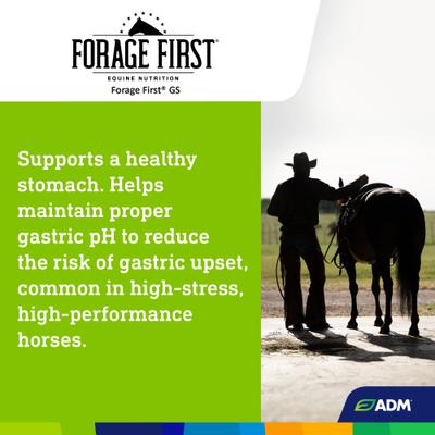 Show full view: ADM Forage First Gastric Support Gut Health Horse Supplement, 40-lb bag slide 5 of 8