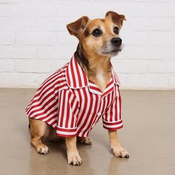 Found My Animal Pet Parent & Dog Pajamas, Candy Stripe, Dog Pajamas, Small slide 2 of 6
