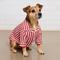 Found My Animal Dog Pajamas, Candy Stripe
