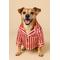 Found My Animal Dog Pajamas, Candy Stripe