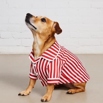 Found My Animal Dog Pajamas, Candy Stripe