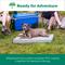 Show in main carousel: FurHaven Premium Indoor-Outdoor Deluxe Mattress Cooling Gel Dog Bed, Gray Mist, Jumbo Plus slide 5 of 9