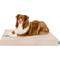 Show in main carousel: FurHaven Premium Indoor-Outdoor Deluxe Mattress Cooling Gel Dog Bed, Biscuit, Jumbo slide 1 of 9