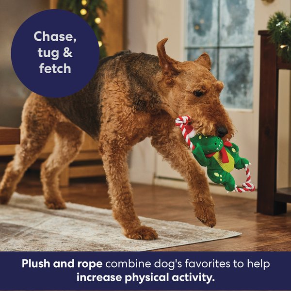 Show full view: Frisco Holiday Plush with Rope Squeaky Dog Toy, Dinosaur, Medium/Large slide 5 of 11