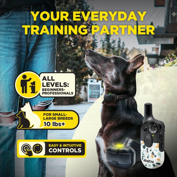 Show full view: Dogtra 200iQ 1 Organic Stone Waterproof Dog Training E-Collar, Multicolor slide 4 of 9