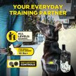 Show in main carousel: Dogtra 200iQ 1 Organic Stone Waterproof Dog Training E-Collar, Multicolor slide 4 of 9