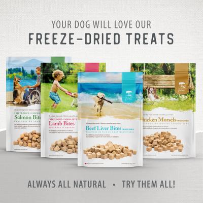 Show full view: Caledon Farms Lamb Bites Freeze-Dried Dog Treats, 4.1-oz bag slide 10 of 11