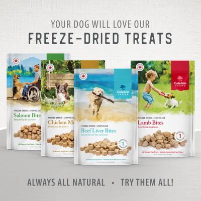 Show full view: Caledon Farms Salmon Bites Freeze-Dried Dog Treats, 3.2-oz bag slide 10 of 11