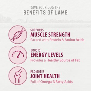 Caledon Farms Chewy Lamb Sticks Dog Treats, 7-oz bag