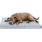 Show in main carousel: FurHaven Premium Indoor-Outdoor Deluxe Mattress Cooling Gel Dog Bed, Gray Mist, Large slide 1 of 10