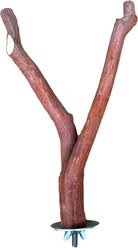 YML Wooden Parrot Perch Swing, Brown