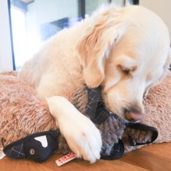 SteelDog USA Ruffian Bird Goose Plush Dog Toy slide 2 of 6