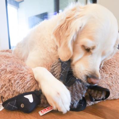 Show full view: SteelDog USA Ruffian Bird Goose Plush Dog Toy slide 2 of 6