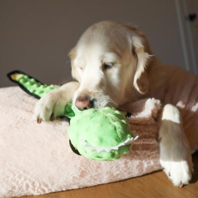 Show full view: SteelDog USA Flat Bumpy Gator Plush Dog Toy slide 6 of 7