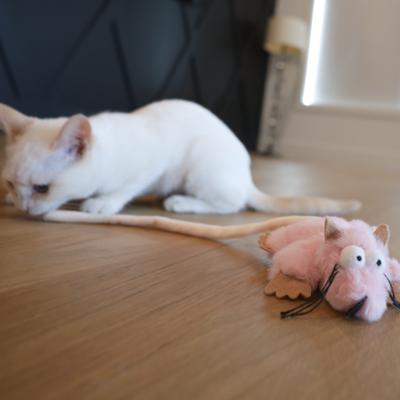 Show full view: SteelDog USA Combo Critter Plush Cat Toy with Catnip Pouch, Pink slide 6 of 7